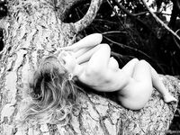 Claudiia Lion Lionello Claurilion