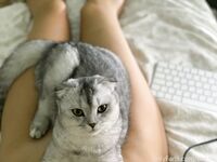 Oksanafedorova Onlyfans photo