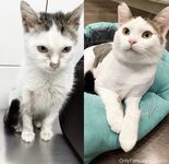 Oksanafedorova Onlyfans photo