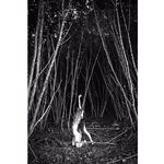 Claudiia Lion Claurilion nude naked patreon robgiro