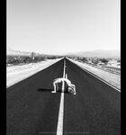 Claudiia Lion Claurilion nude naked patreon robgiro