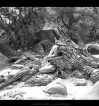 Claudiia Lion Claurilion nude naked patreon robgiro