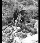 Claudiia Lion Claurilion nude naked patreon robgiro