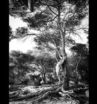 Claudiia Lion Claurilion nude naked patreon robgiro