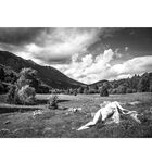 Claudiia Lion Claurilion nude naked patreon robgiro