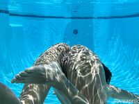 April O'Neil Collection