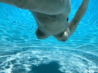 April O'Neil Collection