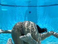 April O'Neil Collection