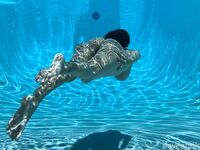 April O'Neil Collection