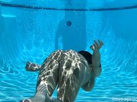 April O'Neil Collection