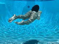 April O'Neil Collection