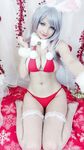 Hidori Christmas Bunny