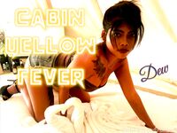 sinbros - punter team in thailand