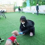 Sexy Instagramer - Sue Suhyun Cho