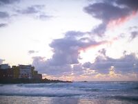 Instagram Model Ariann Music