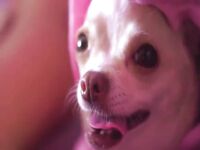 Instagram Model Ariann Music