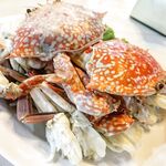 Instagram Lingerie Model ms.donut17