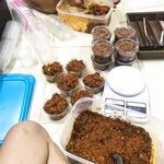 Instagram Lingerie Model ms.donut17