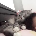 Instagram Lingerie Model ms.donut17