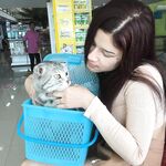 Instagram Lingerie Model ms.donut17