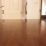 Instagram Lingerie Model ms.donut17