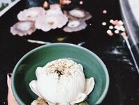 Instagram Lingerie Model ms.donut17