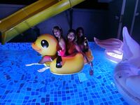 Instagram Lingerie Model ms.donut17