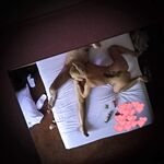 greek adrianna milf photos