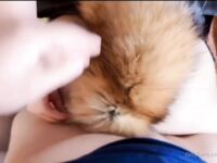 Kitty Kum /Kittyxkum Album 2