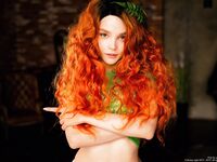 RocksyLight - Huge Collection 2