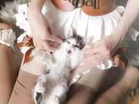 RocksyLight - Huge Collection 3