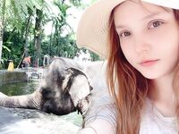 RocksyLight - Huge Collection 4