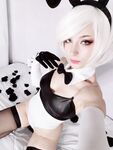 Shiro Kitsune - Huge Collection