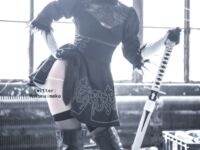 [Hokunaimeko] NO14 コスプレー２Ｂちゃん-