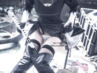 [Hokunaimeko] NO14 コスプレー２Ｂちゃん-