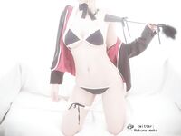 [Hokunaimeko]NO22 Fate GO Saber