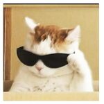 just for verification