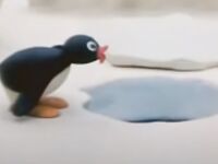 just for verification