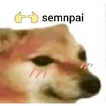 just for verification