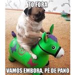 just for verification