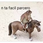 just for verification