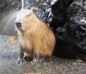 just for verification