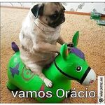 just for verification