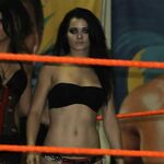WWE - Paige