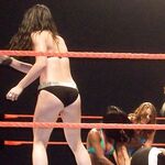 WWE - Paige