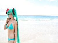 Whitespring mega collection