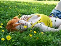 Whitespring mega collection