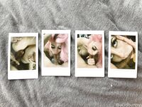 Tayla Summers (Acidbunny) - OnlyFans Photos