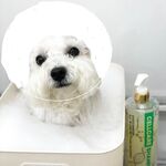 Ellie Rae - Gallery Dump