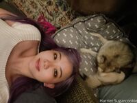 Onlyfans Harriet Sugarcookie